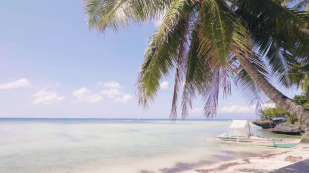 Landscape palm tree on beach and boat on shore of blue sea. Blue sea and skyline — Stock Video