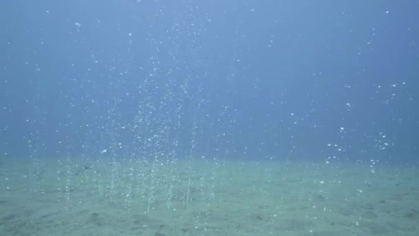 Air bubbles from sandy sea bottom rising to surface point view swimming dive — Stock Video