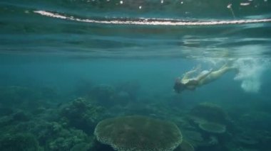 Genç kadın maskesi ve snorkel sualtı okyanus ile dalış. Sualtı turkuaz deniz yüzme ve şnorkel maskesi ile kadın. İzlerken deniz mercan kayalığı, sualtı dünyasını balık.