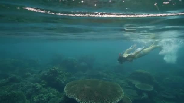 Mujer joven buceando con máscara y snorkel océano submarino. Mujer nadando bajo el agua mar turquesa y buceando con máscara. Observando arrecifes de coral marino, peces en el mundo submarino . — Vídeo de stock