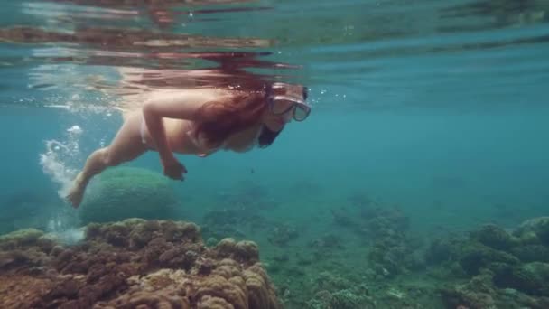 Junge Frau in Badeanzug und Schnorchelmaske schwimmt unter Wasser und beobachtet Korallenriffe und Meeresfische. Frau beim Schnorcheln im Meerwasser. wunderschöne Unterwasserwelt und Meereslebewesen. — Stockvideo