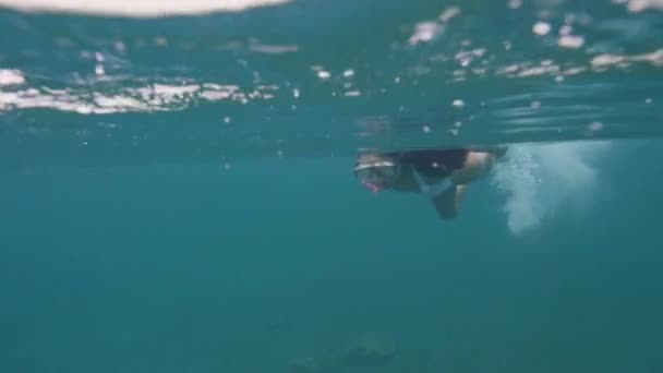Mujer bonita en máscara y snorkel nadando en agua de mar transparente vista submarina. Mujer con máscara de snorkel nadando en el agua del océano. Observación submarina de arrecifes de coral y peces . — Vídeo de stock