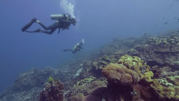 Аквалангіст Дайвінг Підводна синє море над прекрасним кораловим рифом і риби. Дайвери плавання підводного океану і дивляться риби, тварин і коралових рифів. Підводний світ і морем природи. — стокове відео