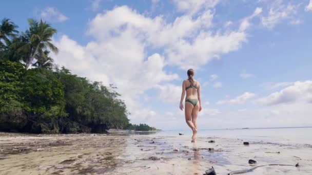 Νεαρή γυναίκα στο μπικίνι περπατώντας στην υγρή άμμο στην παραλία της θάλασσας, πάνω στον ουρανό μια προβολή δέντρου του Φοίνικα. Όμορφο κορίτσι με μαγιό σε ωκεανό παραλία απολαμβάνοντας την καλοκαιρινή μέρα. Χαμηλή γωνία προβολής — Αρχείο Βίντεο
