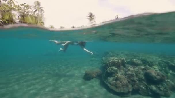 Jovem mulher de maiô e máscara de snorkel assistindo recife de coral e peixes marinhos. Vista de linha de água Mulher nadando em máscara de mergulho na vista subaquática do oceano. Bela vida em alto mar . — Vídeo de Stock