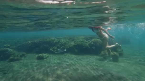 年轻女子带着浮潜面罩和管在蓝色水线上游泳。妇女浮潜面具和管在海上。水下景观。珊瑚礁, 水下世界中的游鱼. — 图库视频影像