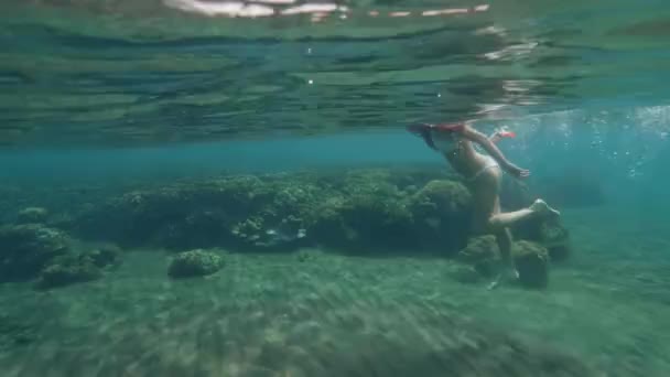 Mujer joven con máscara de snorkel y tubo de natación en la línea de flotación azul del mar. Mujer haciendo snorkel con máscara y tubo en el mar. Vista submarina. Arrecife de coral, peces nadadores en el mundo submarino . — Vídeos de Stock