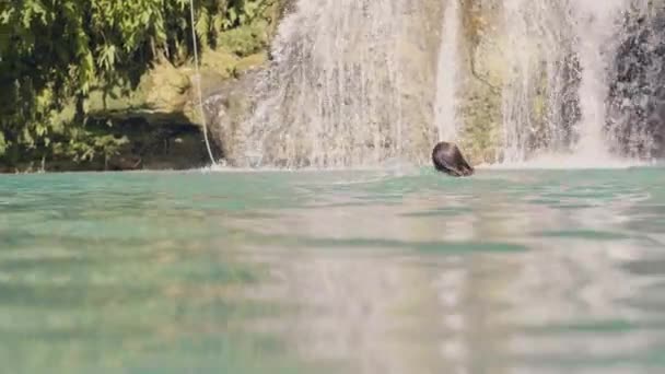 Junge Frau schwimmt im blauen Wasser des Sees vor plätscherndem Wasserfall. glückliche Frau schwimmt im Bergsee und im Hintergrund plätschert der Wasserfall. — Stockvideo