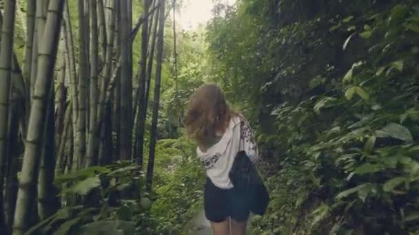 Donna turistica che cammina sul sentiero nella foresta tropicale su alberi verdi e sfondo vegetale. Indietro vista ragazza in viaggio foresta pluviale esotica tra alberi tropicali e piante sempreverdi . — Video Stock