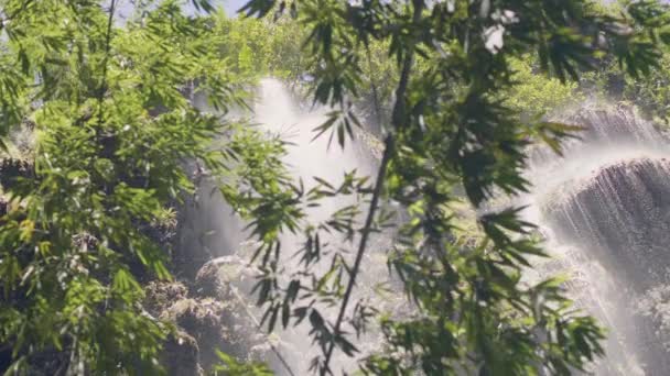 Groene tropische planten op achtergrond vloeiende berg waterval in het regenwoud. Tropische waterval in de jungle en groene plant. Waterstraal uit de rocky river stroomt in tropisch woud. — Stockvideo