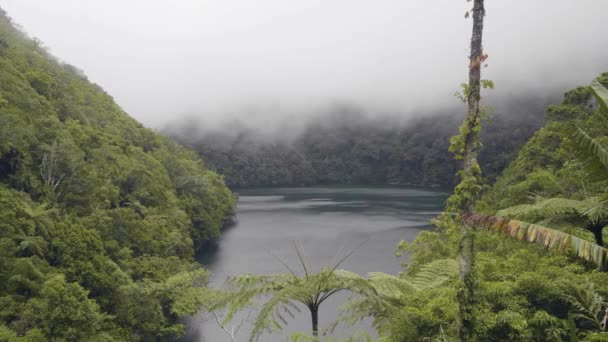 Nuvole Appannate Sopra Lago Tropicale Foresta Verde Paesaggio Naturale Foschia — Video Stock