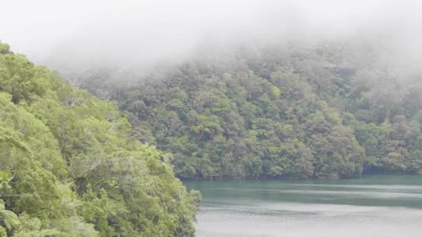 Sabah sis tropikal göl ve yeşil highlands kaplı yağmur ormanları. Tropikal peyzaj sisli sis ve tropikal orman yeşil tepeler arasında göl. — Stok video