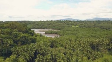 Hava atış tropikal palmiye orman ve dağ manzarası manzarası üzerinde Gölü etrafında bizimkiler yaşar. Drone görünümü tekne ve gemilerle tropikal yağmur ormanlarında akan nehir.