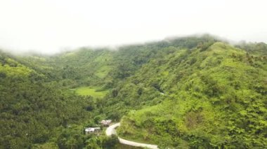 Yeşil Yayla tropikal orman ve dolambaçlı yol hava manzara kaplı. Bulutlu gökyüzü arka plan Yağmur ormanları ve araba yoldan dron görünümü tropikal tepelerde.