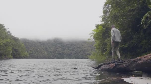 여행 녹색 고원 배경에 열 대 숲에 강물에 떨어지는 나무에 서 있는 남자. 언덕에 녹색 우림 강 해안에서 풍경 즐기는 젊은 남자. — 비디오