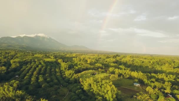 Groene berg en kleurrijke regenboog over landbouw veld en fruit plantages in dorp. Luchtfoto landschap groente tuin en landbouw veld op berg en regenboog landschap. — Stockvideo