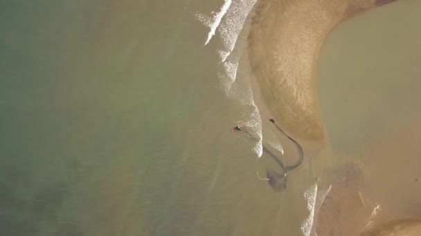 Drone view fishing with net from boat in sea. Fishermen in boat catching with fish net in sea water. Fishing and hunting in ocean. — Stock Video