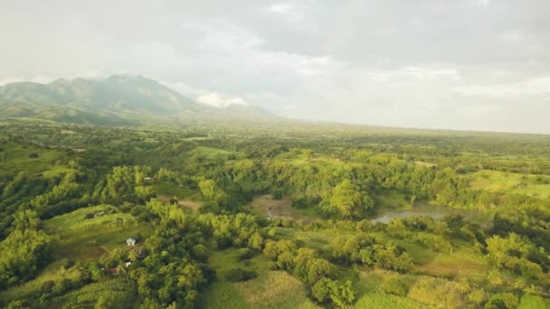 Vackra landskapet frukt plantage och jordbruk fält på grönt berg bakgrund. Drone Visa asiatiska plantage med fruktträd och jordbruksområdet. — Stockvideo