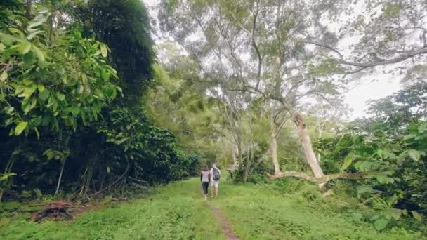 Pareja de turistas caminando en la selva tropical sobre árboles verdes y plantas tropicales paisaje. Viajando hombre y mujer caminando en la selva salvaje. Concepto turístico . — Vídeo de stock