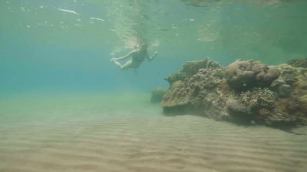 Žena, šnorchlování v brýle a sledování exotických ryb plavání přes korálové útesy v moři. Dívka, šnorchlování v transparentní oceánu. Podvodní svět a mořský život . — Stock video