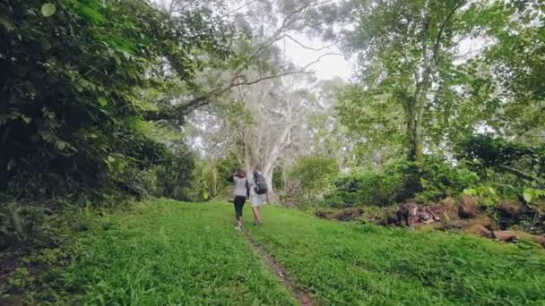 Mujer joven y hombre con mochila caminando por sendero en la selva tropical. Pareja de turistas caminando en el bosque verde de la selva. Concepto de turismo ecológico . — Vídeo de stock