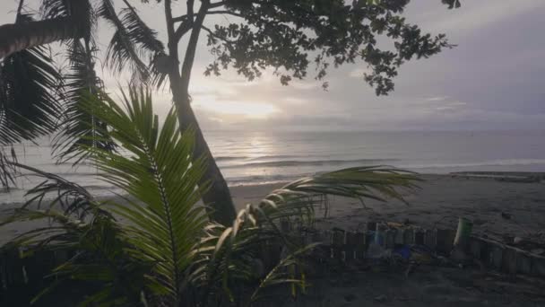 Belo pôr do sol em uma praia tropical de areia com palmeiras . — Vídeo de Stock