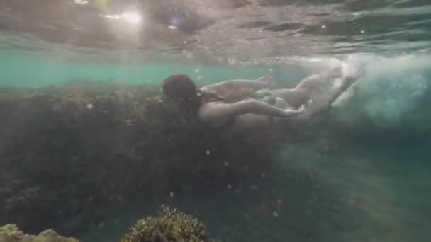 Junge Frau taucht mit Brille in transparentem Meerwasser über Korallenriff. Frau schnorchelt im kristallklaren Wasser und beobachtet Korallenriff am Meeresgrund. — Stockvideo