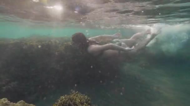 Giovane donna che si tuffa in occhiali in acqua trasparente dell'oceano sulla barriera corallina. Donna che fa snorkeling in acque cristalline e osserva la barriera corallina sul fondo del mare . — Video Stock