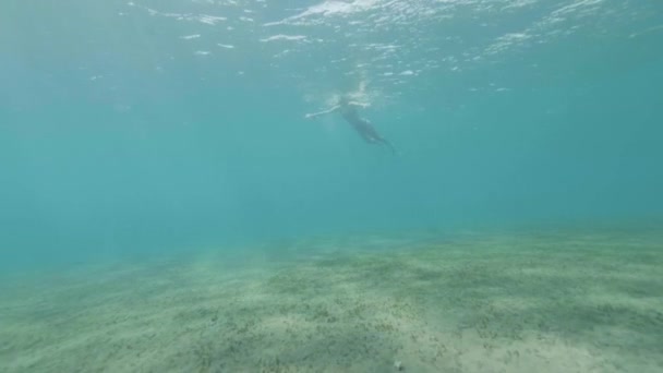 青い海水の中で泳いだりダイビングをする若い女性の水中ビュー。透明な海水を泳ぐゴーグルの若い女性. — ストック動画