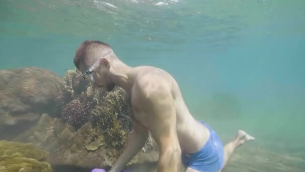 Sportsman is training with dumbbells underwater, making hand exercises near the coral reefs with fish. — Stock Video