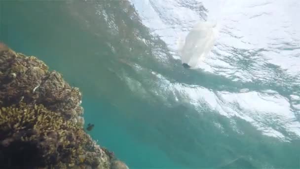 Bolsa de plástico al lado de los arrecifes en el océano, tiro bajo el agua. Contaminación ambiental . — Vídeos de Stock