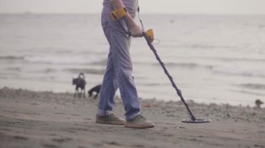 Elektronik metal dedektörü ile tanınmayan adam gün doğumunda köpeği ile değerli bulma metal dedektörü ile sahilde kum tarama.