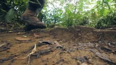 Yaz yürüyüşü sırasında yağmur ormanlarında kirli yolda yürüyen trekking ayakkabıerkek bacakları. Tropik ormanda yürüyüş turist. Turizm ve seyahat. Yaz yürüyüşü ve aktif tatil.