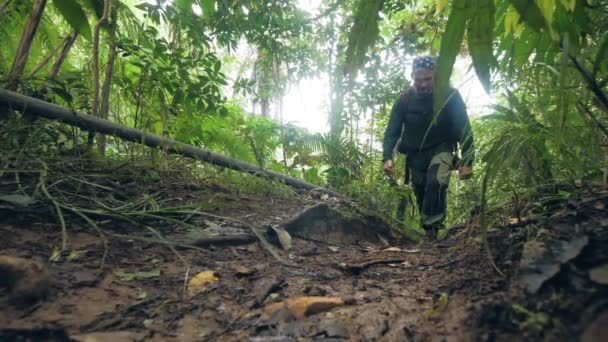 Viajante caminhadas homem na densa floresta tropical, enquanto viagem de verão. Homem turístico viajando na selva tropical vista de baixo ângulo. Conceito de viagem, trekking, férias ativas e férias . — Vídeo de Stock