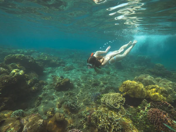 Jeune femme nage parmi les récifs coralliens dans les eaux peu profondes et à la recherche de vie sous-marine . — Photo