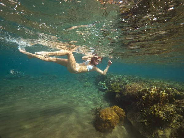 Mujer está nadando buceando entre arrecifes de coral en aguas poco profundas y buscando vida marina submarina . —  Fotos de Stock