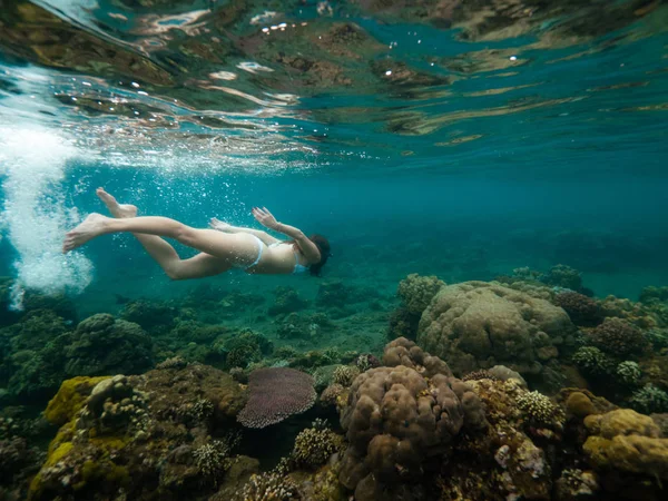 Mujer joven está nadando entre arrecifes de coral en aguas poco profundas . —  Fotos de Stock