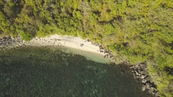 Divoká písečná pláž na ostrově Oceán, letecký pohled. — Stock video