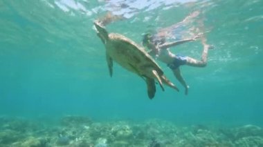 Genç kız sualtı deniz kaplumbağası ile yüzüyor.