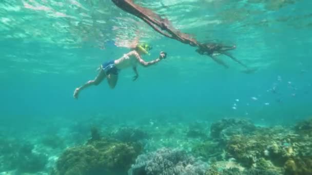 Κολύμβηση με αναπνευστήρα έφηβος κορίτσι παίρνει μια φωτογραφία της θαλάσσιας ζωής στο τηλέφωνο, υποβρύχια βολή. — Αρχείο Βίντεο