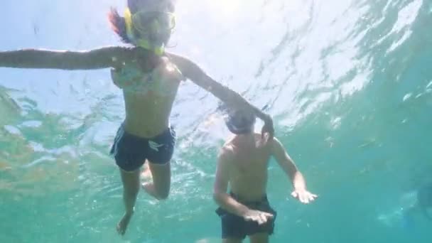 Groep toeristen zijn snorkelen in de Oceaan, onderwater schot. — Stockvideo