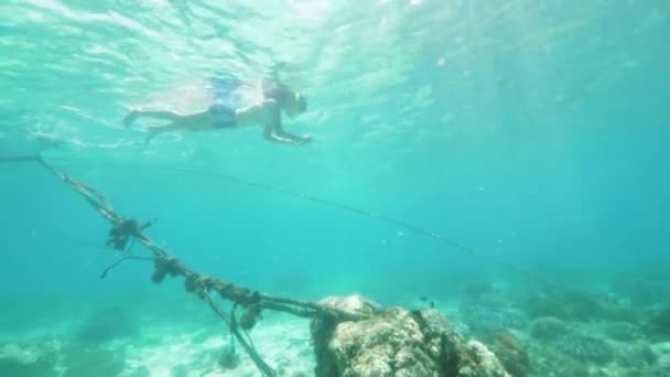 Teenager girl is snorkeling in ocean floor with coral reefs and taking a pictures of sea life on phone, underwater shot. — Stock Video