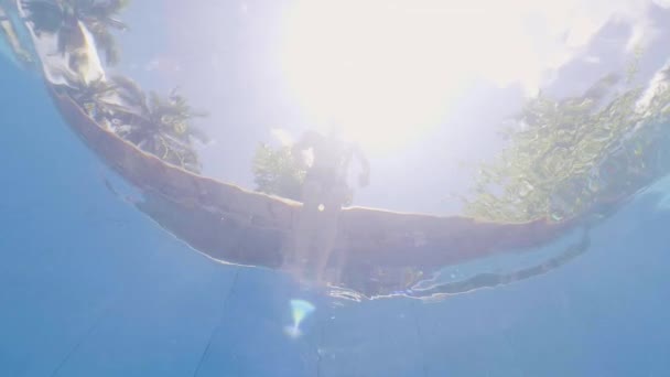 Underwater view young man diving in swimming pool in resort hotel on palm tree background. Slow motion male swimmer jumping in transparent water swimming pool. — Stock Video