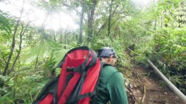 Yoğun yağmur ormanlarında sırt çantasıyla yürüyüşçü. Ormanda seyahat ederken orman yolunda yürüyen gezgin adam. Vahşi ormanda turist yürüyüşü. Turizm, gezi, trekking ve yürüyüş konsepti