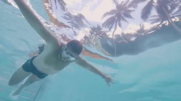 Vista submarina joven nadando en piscina al aire libre sobre fondo de palma tropical. Nadador masculino nadando en la piscina del complejo mientras descansa en el hotel turístico. Vacaciones de verano . — Vídeo de stock