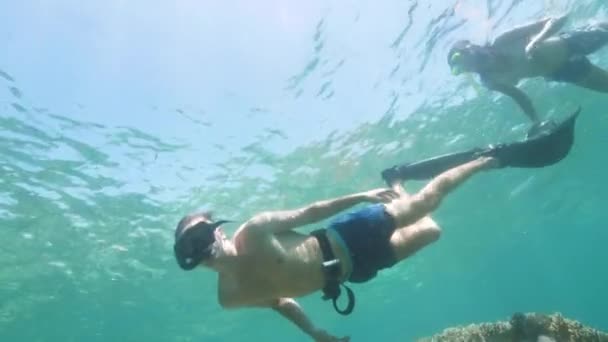 年轻男女戴着潜水面罩在蓝色的大海中游泳,俯瞰大海. 男人和女人在清澈的大海中一起在阳光照射下潜水. — 图库视频影像