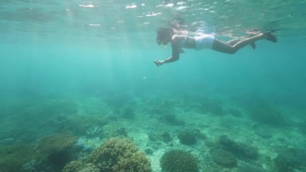 Mujer joven haciendo fotos mientras bucea con máscara y tubo bajo el agua. Chica de snorkel y fotografiar el mundo submarino a la cámara móvil resistente al agua . — Vídeos de Stock