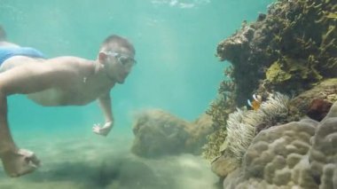 Adam gezgin tatilde okyanusta mercan resifleri yakınında dalış deniz yaşamı öğrenir.