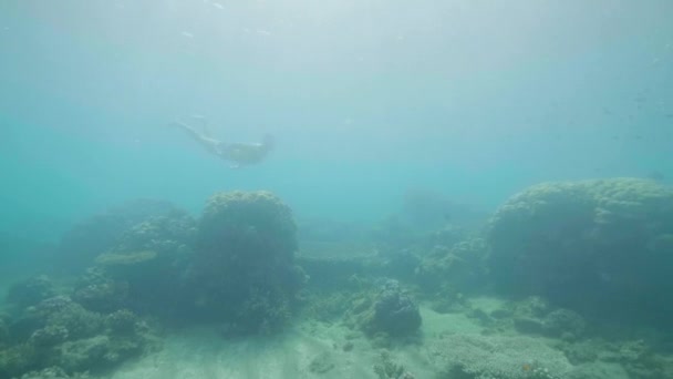 Sylwetka nurkowania człowieka i pływanie pod wodą w oceanie wśród raf koralowych. — Wideo stockowe