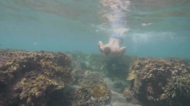 Maskeli adam okyanus tabanındaki mercan resiflerinin üzerinde yüzer ve vahşi yaşamı öğrenirler..